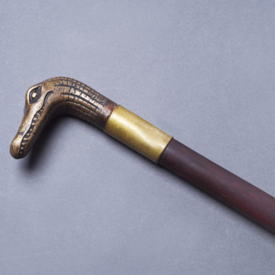 Sétabot krokodil fejjel